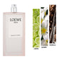 Loewe Agua Mar De Coral EDT 100ml - 100% Authentic | Unisex Perfume